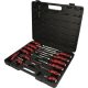 KS Tools Csavarhúzó klt. lapos +PH, hatszög szár, kétk.nyél 22 részes T-sz+6FL+6PH, +hatszög+Torx kulcs klt. 100109 vágódeszka (ajándék) 151.4000 Hatszög és Torx kulcs klt.1,27-10/TX10-50
