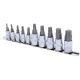 KS Tools Rátűzőkulcs készlet 1/4"+3/8" TORXPLUS TX10-60 IP 10 részes
